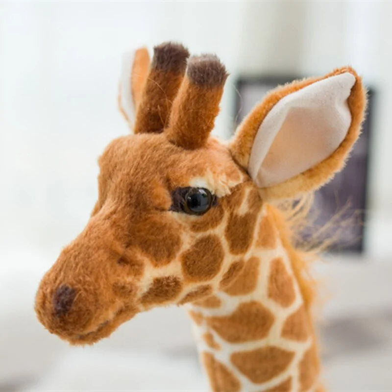Nibbles The Tall Giraffe